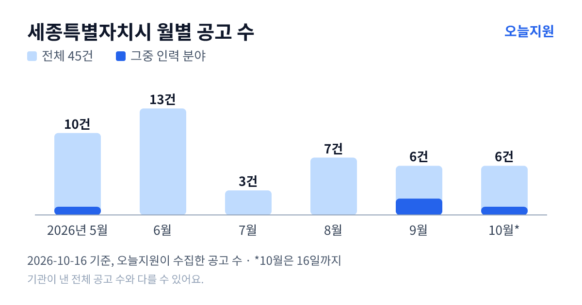 세종특별자치시 월별 지원사업 공고 수(오늘지원 수집 기준) — 5월 10건, 6월 13건, 7월 3건, 8월 7건, 9월 6건, 10월 6건