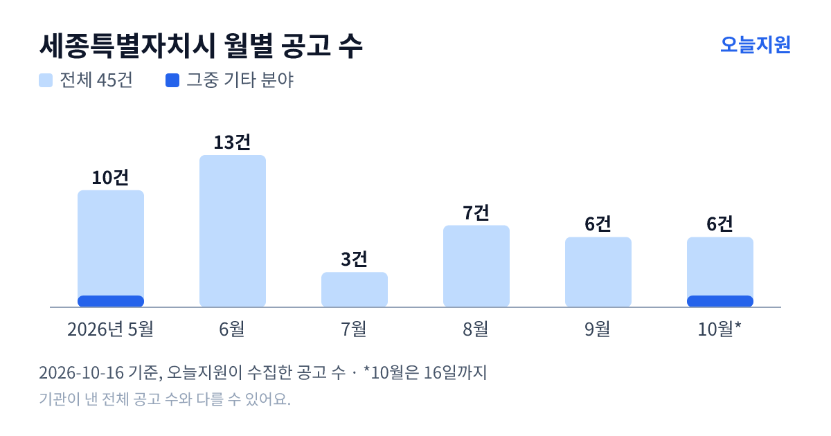 세종특별자치시 월별 지원사업 공고 수(오늘지원 수집 기준) — 5월 10건, 6월 13건, 7월 3건, 8월 7건, 9월 6건, 10월 6건